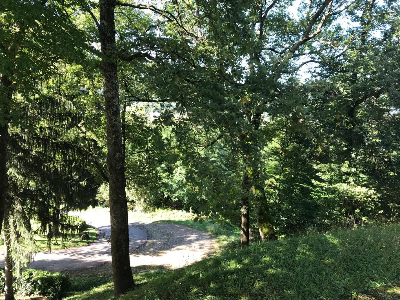 Les Chambres Et Studios Camping Parc De Paletes Saint-Girons  Εξωτερικό φωτογραφία
